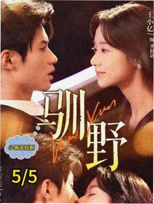 深夜电台剧集封面图